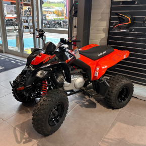Can-Am DS 250 – Quad 250 cm³ fiable et agile
