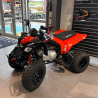 Can-Am DS 250 – Quad 250 cm³ fiable et agile