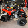 Can-Am DS 250 – Quad 250 cm³ fiable et agile