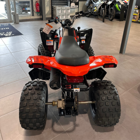 Can-Am DS 250 – Quad 250 cm³ fiable et agile