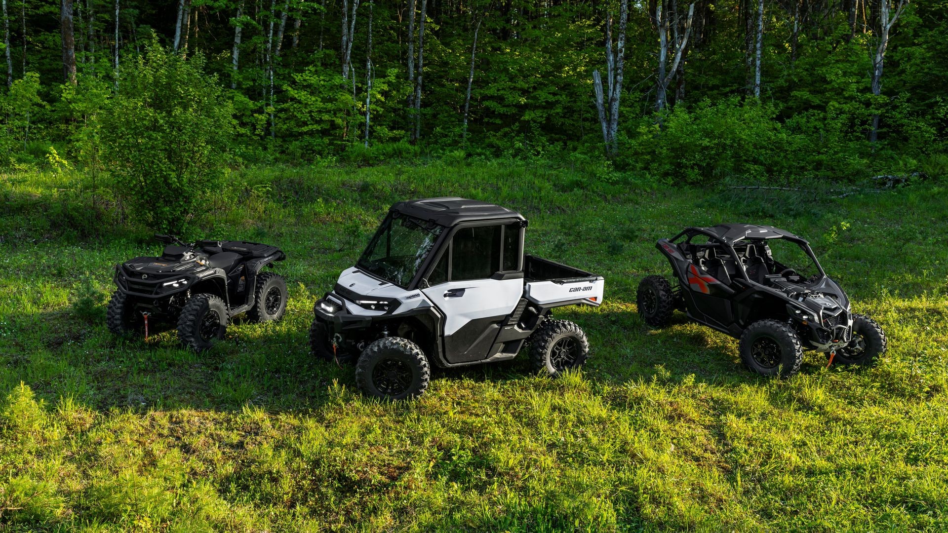 SSV / Buggy