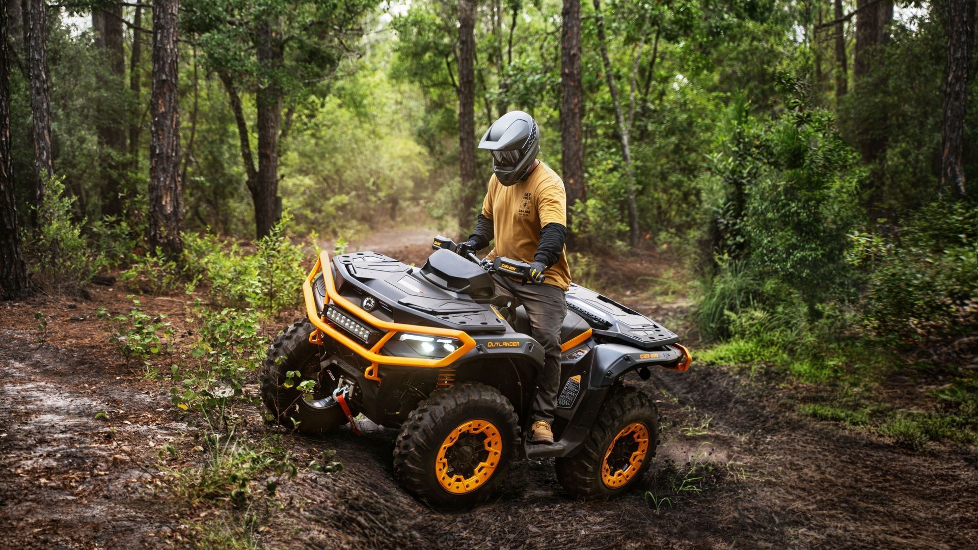 Quad